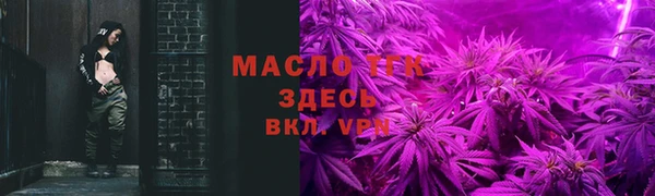 прущие грибы Гусь-Хрустальный