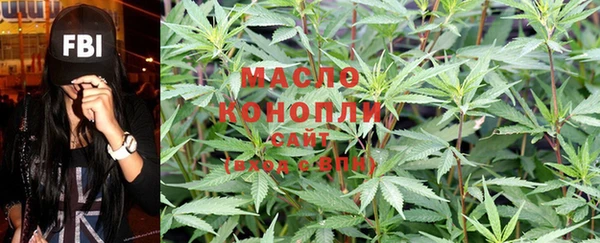 прущие грибы Гусь-Хрустальный