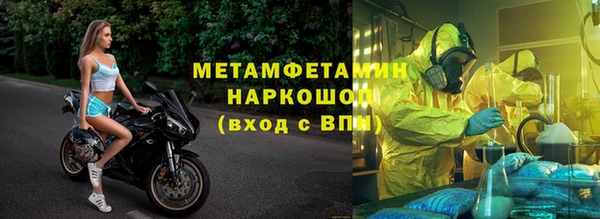 прущие грибы Гусь-Хрустальный