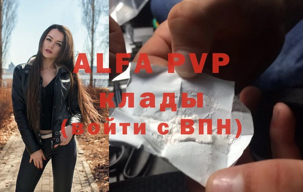 прущие грибы Гусь-Хрустальный
